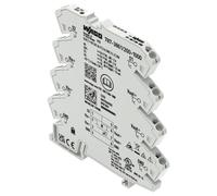 1 Pole Electronic Circuit Breaker 35Mm Din Rail 24V Dc 2A 6000Uf WAGO
