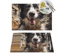 1 PVC Placemats Set Pastor Border Collie Place Mats for Dining Table Heat Resistant Place Mat Non-Slip Vinyl Woven Table Mats for Kitchen TableProtection Cloth Placemat 18" X 12"