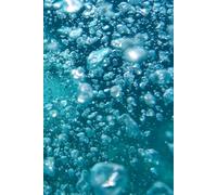 1: Ready to be filled with Memories and Thoughts,150 Pages, 130 Lined and 20 Blank ofr Notes and Photos