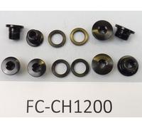 1 set - Campagnolo Chorus 12 Sp. Chainwheel bolts ( FC-CH1200 ) bicycle