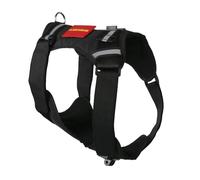 1 Set Dog Camera Strap Holder Mount Harness with 2 Views for Action Cameras to Capture Adventure from Chest or Back