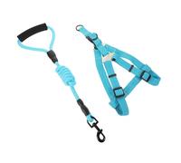 1 Set Dog Lead Outdoor Vest Small Dog Harness Small Service Dog Vest Running Lead for Pets Carrying Strap for Puppies Pet Harness Dog Safe Harness Nylon Blue BESPORTBLE