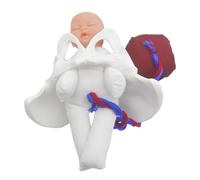 1 Set Medical Teaching Female Pelvis Model Realistic Childbirth Simulator for Midwifery Training Prenatal Education and Obstetric Demonstration Includes Fetus Umbilical Cord and