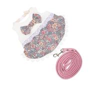 1 Set Pet Rabbit Clothes Small Animal Leash Rabbit Printing Costume Summer Rabbit Skirt Pet Supplies Decorative Rabbit D (A M)