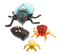 1 Set Simulation Cicada Growth Cycle Model Educational for Realistic Ornament for Learning Life Processes Fun and Engaging Cicada Decoration for Imagination and Cognition