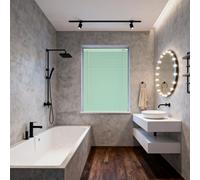 1" Slat Aluminum Venetian Blinds, Light Filtering Horizontal Shades, Privacy Mini Blinds, 20"-68" Widths, Cordless for Bedroom, Bathroom, Office(Light green)