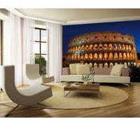 1 Wall Rome Colosseum Wall Mural, Wood, Blue, 3.15 x 2.32 m