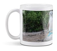 1 x 11oz (284ml) White Ceramic Mug Cup - Blue Footed Booby Galapagos Bird Design for Coffee Tea Drinks Kitchen Birthday Office Fun #15554