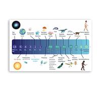 1 x 20cm Geological Timeline Vinyl Stickers Planet Earth Biology Sticker #70610