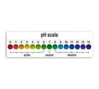 1 x 20cm pH Scale Vinyl Stickers - Science Chemistry School Uni Sticker #34936