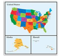1 x 20cm United States Map Vinyl Stickers - USA Alaska Hawaii Sticker #34769 (20cm)