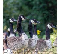 PawHut 1m x 25m Chicken Wire Mesh, Foldable PVC Coated Welded Garden Fence, Roll Poultry Netting, for Rabbits, Ducks, Geese - Dark Green