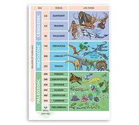 1 x A4 Geological Timeline Vinyl Stickers Planet Earth Biology Sticker #70611