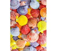 1 x A4 Printed Colourful Seashell Shell Beach Seaside Wallpaper Decor Icing Sheet Edible Cake Topper Decorated Sheet - Perfect for Large Cakes