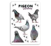 1 x A5 Sheet Funny Pigeon Bird Vinyl Stickers - Pigeons Sticker #34896_A5 (A5)