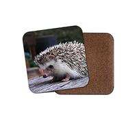 1 x Adorable Hedgehog Backed Drinks Coaster - Cute Animal Kids Mum #8301
