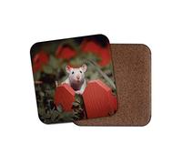 1 x Adorable White Rat Coaster - Mouse Mice Animal Fun Rodent Pet #8778