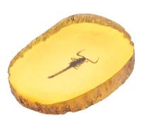 1 x Amber Insect Artificial Amber Insect Specimen Pendant Scorpion Insect Amber Stone Collection Oval Decoration for Friends Children (Scorpion)