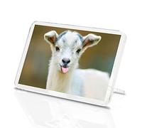 1 x Baby Goat Animals Pets Farm Feed Classic Fridge Magnet Kitchen#3670