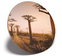 1 x Baobab Trees Madagascar Tree - Round Coaster Kitchen Student Kids #3090