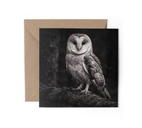 1 x Barn Owl Greeting Card - Black & White Photography Office Birthday Gift #71740