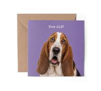 1 x Basset Hound Greeting Card - Happy Birthday Shocked How Old? Joke Dog Funny #72610