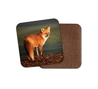 1 x Beautiful Ginger Fox Coaster - Wildlife Wild Nature Dog Autumn #14325