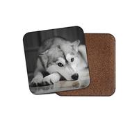 1 x Beautiful Husky Drinks Coaster - Malamute Dog Puppy Puppies Cute Fun #8636