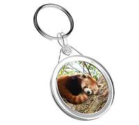 1 x Beautiful Lesser Red Panda - Keyring IR02 Dad Kids Birthday 14217