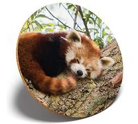 1 x Beautiful Lesser Red Panda - Round Coaster Kitchen Student Kids #14217