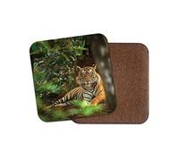 1 x Beautiful Tiger Coaster - Big Cat Lion Animal Jungle Wild Fun #8842