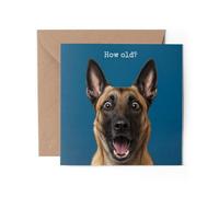 1 x Belgian Malinois Greeting Card - Happy Birthday Shocked How Old? Joke Dog Funny #72607