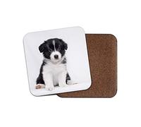 1 x Border Collie Puppy Coaster - Dog Puppies Cute Adorable Farm Pets #15372