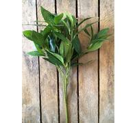 1 x Bunch of Artificial Bay Leaves, Laurel Leaf Bunch, Realistic Faux Greenery Spray, Realistic Stem of Large Faux Greenery Leaves, Realistic Likelike Fake Greenery Decoration with Black Berries
