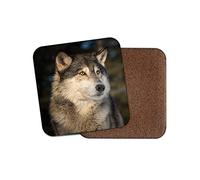 1 x Canis Lupus Wolf Coaster - Grey Wolves Husky Dog Cute Wild Forest #16948