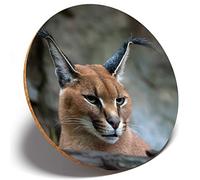 1 x Caracal African Lynx Cat - Round Coaster Kitchen Student Kids #3171
