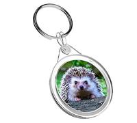 1 x Cheeky Hedgehog Garden Animal - Keyring IR02 Dad Kids Birthday #14322