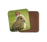 1 x Cute Baby Bunny Coaster - Rabbit Daisy Flower Animal Bunnies Pets #15575