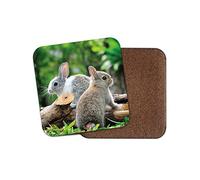 1 x Cute Bunny Rabbits Cork Backed Drinks Coaster - Rabbit Animal Kids #8284