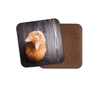 1 x Cute Ginger Kitten Coaster - Cat Cats Mum Sister Auntie Fun #8925