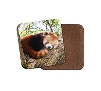 1 x Cute Lesser Red Panda Coaster - Tree Bear Mum Auntie Sister Fun #14217