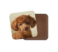 1 x Cute Poodle Puppy Coaster - Ginger Puppies Dog Adorable Pet Mum Gran #15368