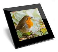 1 x Cute Red Robin Bird Nature Art Home Kitchen Office Glass Coaster #14318