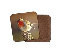 1 x Cute Robin Coaster - Bird Redbreast Twitcher Christmas Pretty Garden #8701