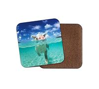 1 x Cute Swimming Pigs Pig Bahamas Cork Backed Drinks Coaster for Tea & Coffee #8098 (1 Coaster)