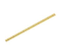 1 X EB Brass Plated Steel Piano Hinge, 600mm x 25mm (24 inches x 1 inch)