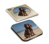 1 x Eco Boxed Cork Coasters - Cocker Spaniel Puppy Dog Drink Cup Mug Glass Table Mat #12508