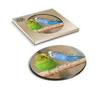 1 x Eco Boxed Cork Coasters - Kissing Budgie Birds Bird Drink Cup Mug Glass Table Mat #45477