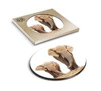 1 x Eco Boxed Cork Coasters - Mother & Baby Elephant Cute Drink Cup Mug Glass Table Mat #2321