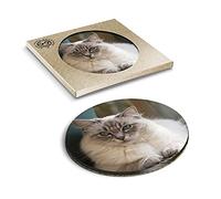 1 x Eco Boxed Cork Coasters - Ragdoll Cat Kitten Cats Cute Drink Cup Mug Glass Table Mat #2285